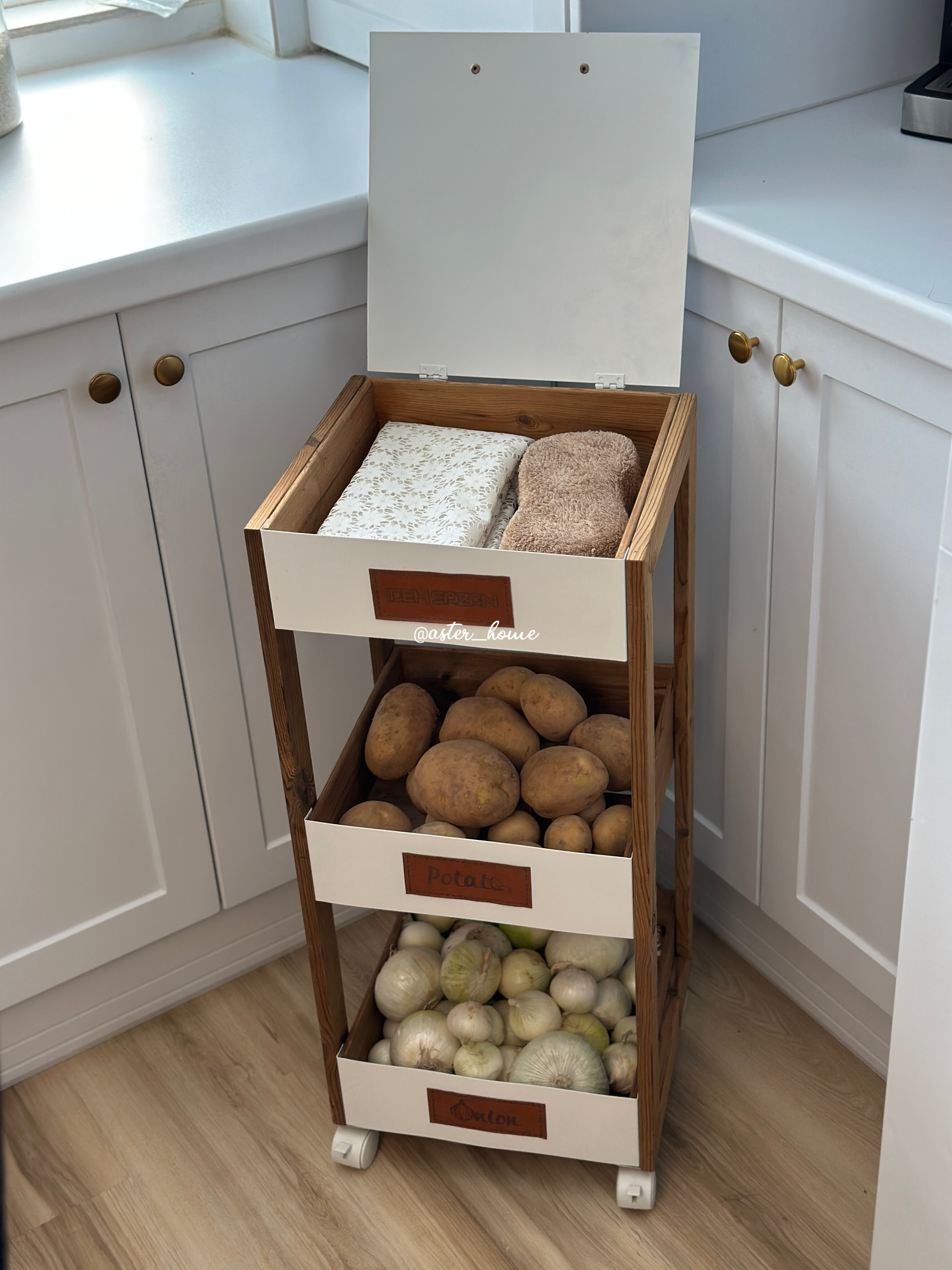 جا سیب زمینی پیازی