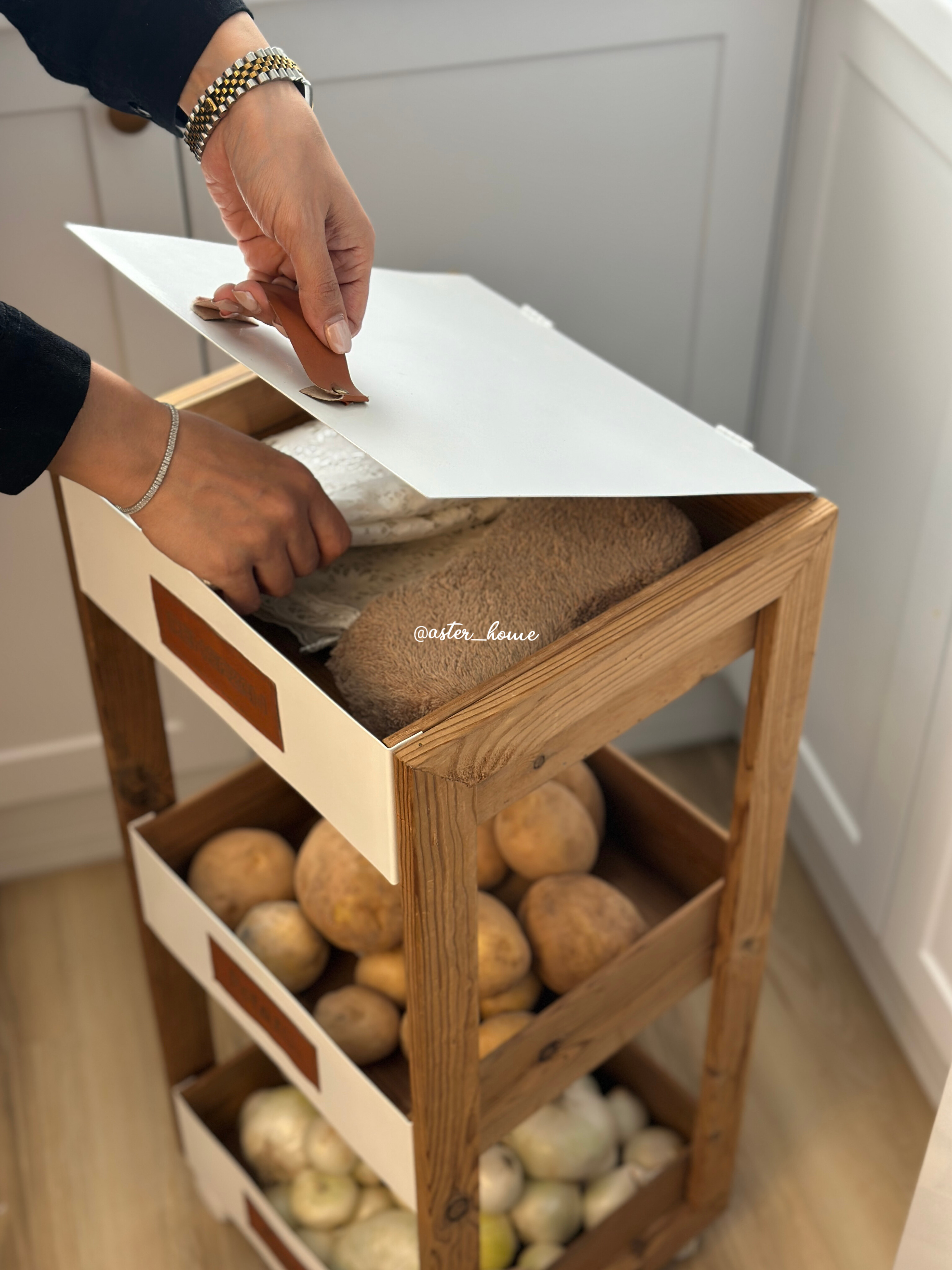 جا سیب زمینی پیازی